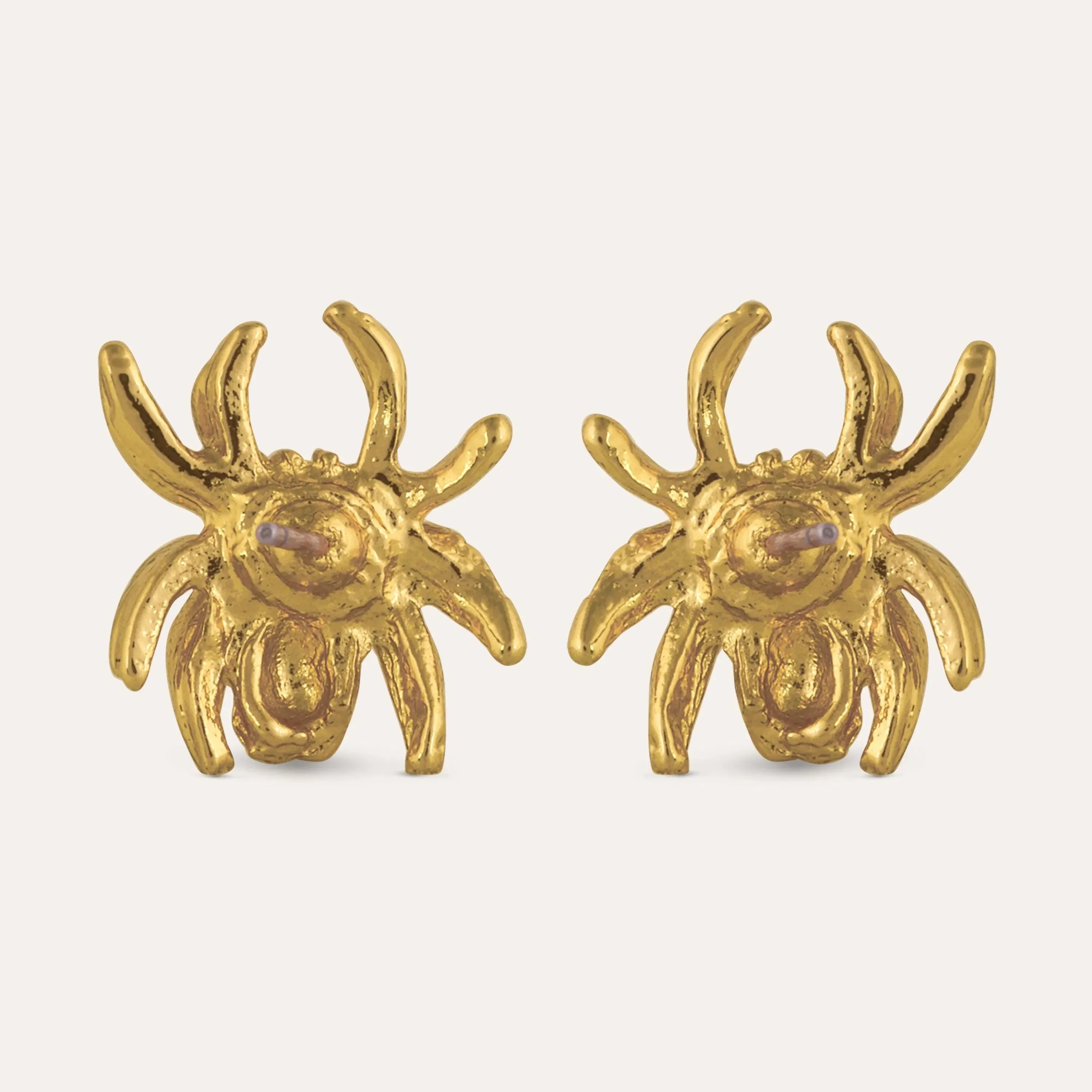 TFC Spidey Gold Plated Stud Earrings