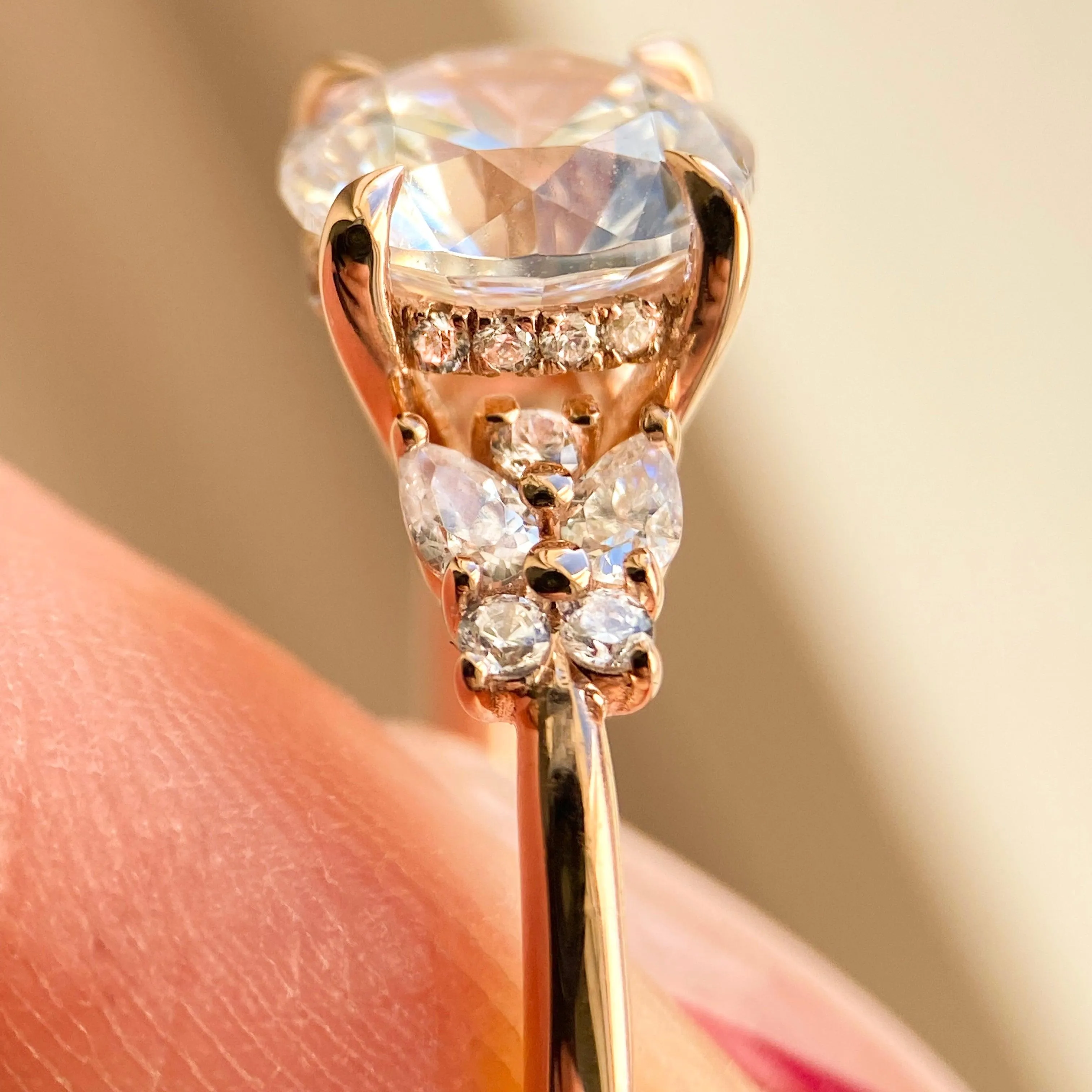 The "Rosa Rose"