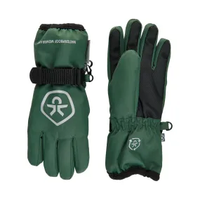 Waterproof Ski Gloves: Cilantro